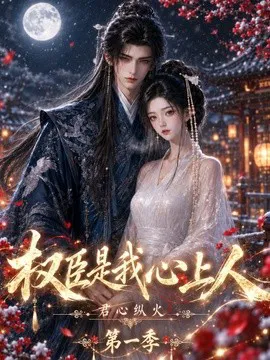 君心纵火权臣是我心上人第一季