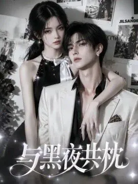 与黑夜共枕!