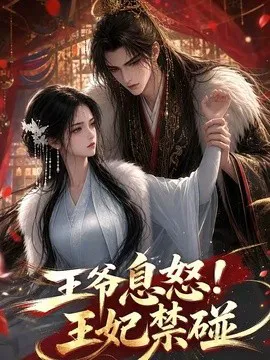 王爷息怒!王妃禁碰